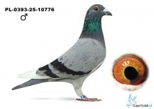 PL-0393-25-10776