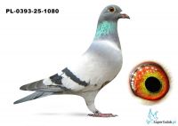 PL-0393-25-1080