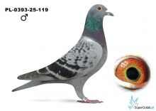 PL-0393-25-1119