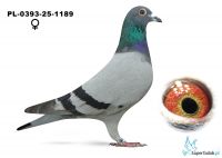PL-0393-25-1189