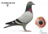 PL-0393-25-310