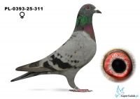 PL-0393-25-311