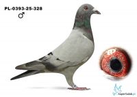 PL-0393-25-328