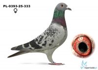 PL-0393-25-333