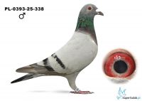 PL-0393-25-338