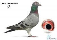 PL-0393-25-350