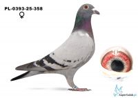 PL-0393-25-358