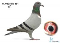PL-0393-25-364