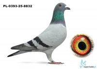 PL-0393-25-8832 Wojciech Szot