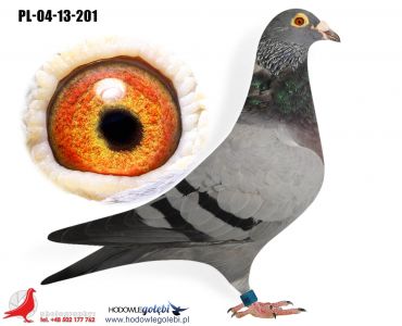 PL-04-04-13-201