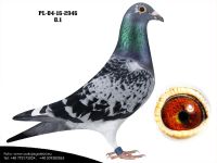 PL-04-16-2946
