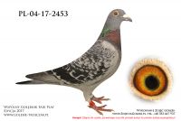 PL-04-17-2453