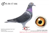 PL-04-17-446