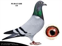 PL-04-17-5188