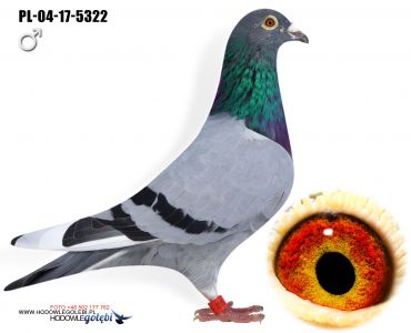 PL-04-17-5322