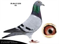 PL-04-17-5378