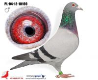 PL-04-18-10169