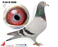 PL-04-18-10248