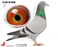 PL-04-19-4760