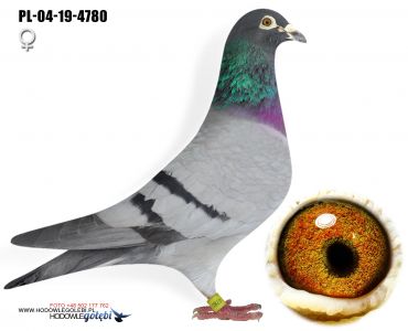 PL-04-19-4780