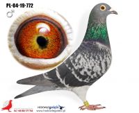 PL-04-19-772