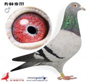 PL-04-19-777
