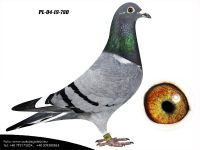 PL-04-19-780