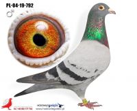 PL-04-19-792