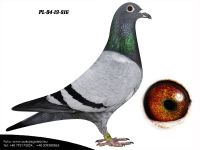 PL-04-19-816