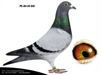 PL-04-19-818