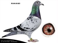 PL-04-19-823