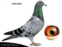 PL-04-19-839