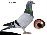 PL-04-19-842