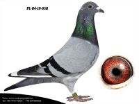 PL-04-19-850