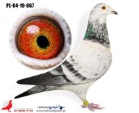PL-04-19-867