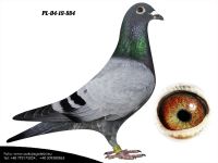PL-04-19-884