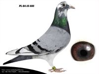 PL-04-19-888