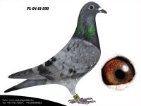 PL-04-19-890