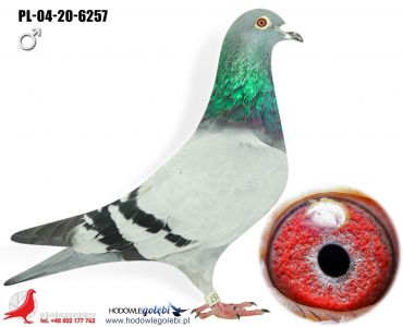 PL-04-20-6257