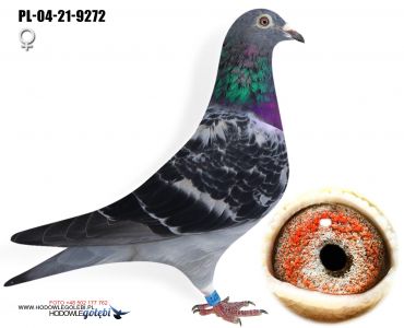 PL-04-21-9272