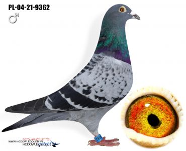 PL-04-21-9362