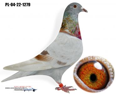 PL-04-22-1279