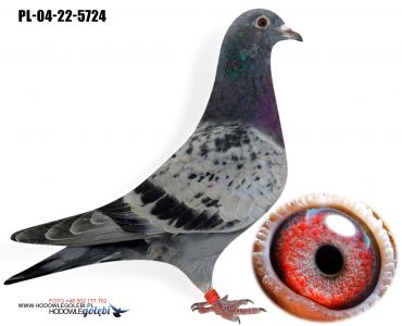 PL-04-22-5724