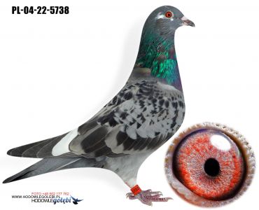 PL-04-22-5738