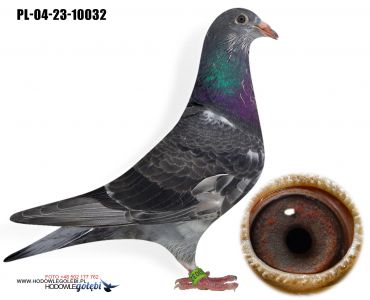 PL-04-23-10032