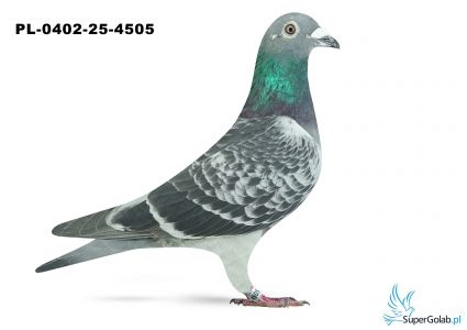 PL-0402-25-4505 25. OKRĘG TARNOBRZEG