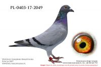 PL-0403-17-2049