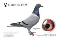 PL-0407-25-13722: TEAM ROGULSKI&ZYGA