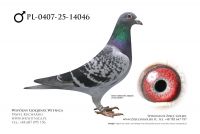 PL-0407-25-14046: TEAM ROGULSKI&ZYGA