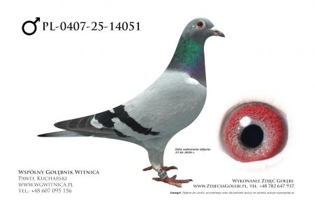 PL-0407-25-14051: TEAM ROGULSKI&ZYGA